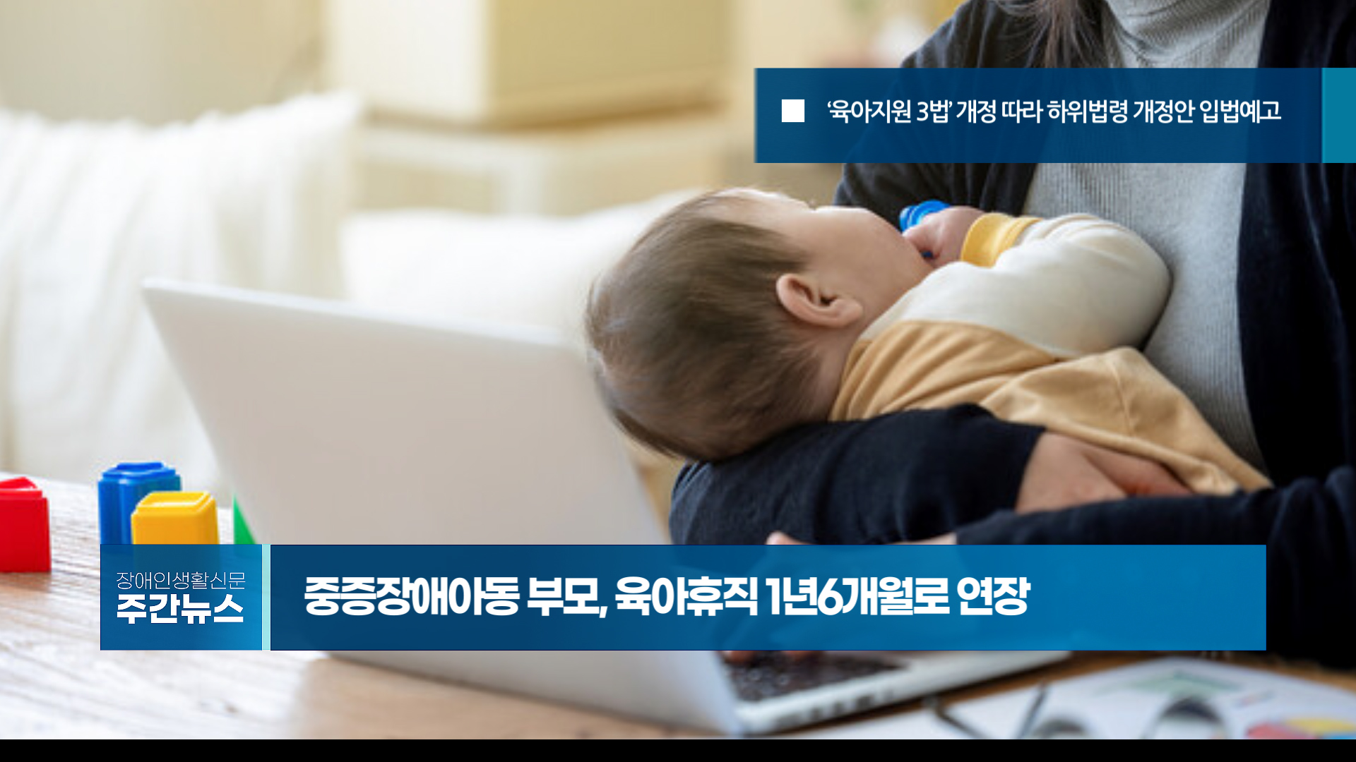 장애인생활신문 주간 뉴스 2024년 11월 22일